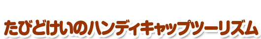 こんな形で提案しています。たびどけいのハンディキャップツーリズム