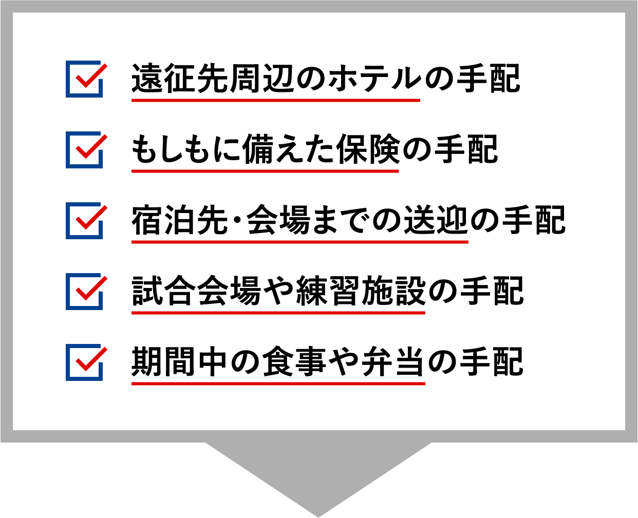 遠征先周辺のホテルの手配、もしもに備えた保険の手配、宿泊先・会場までの送迎の手配、試合会場や練習施設の手配、期間中の食事や弁当の手配